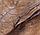 Dennerle Листья индийского миндаля Dennerle для водоподготовки, фото 2