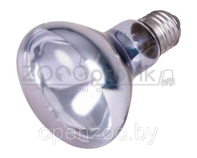 Trixie Рефлекторная лампа накаливания Trixie (для обогрева) 75 W - фото 3 - id-p151491800