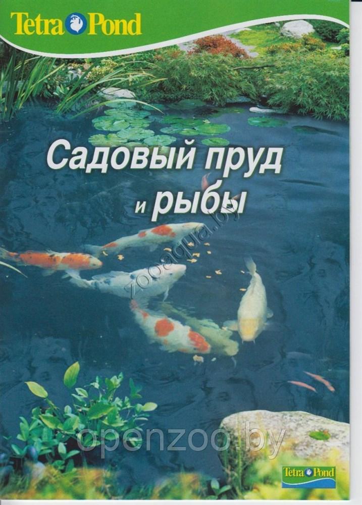 Tetra Брошюра Tetra "Садовый пруд и рыбы" - фото 1 - id-p98030499