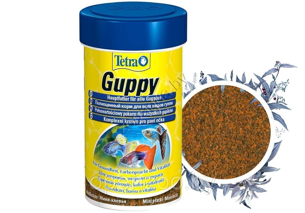 TETRA Guppy Mini Flakes 250ml/75g