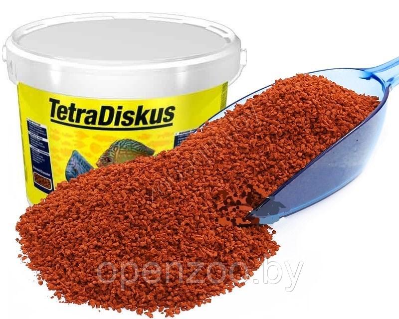 Tetra discus (на развес) 1