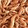 TETRA ReptoDelica Shrimps 250ml/20g деликатес из креветок, фото 2