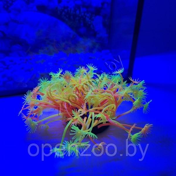 Коралл силиконовый желто-красный 7.5х7.5х10см (SH189RY)