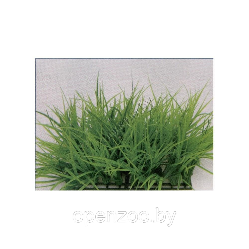 Vitality Растение пластиковое Коврик 25х25см, зеленое - фото 1 - id-p114219856
