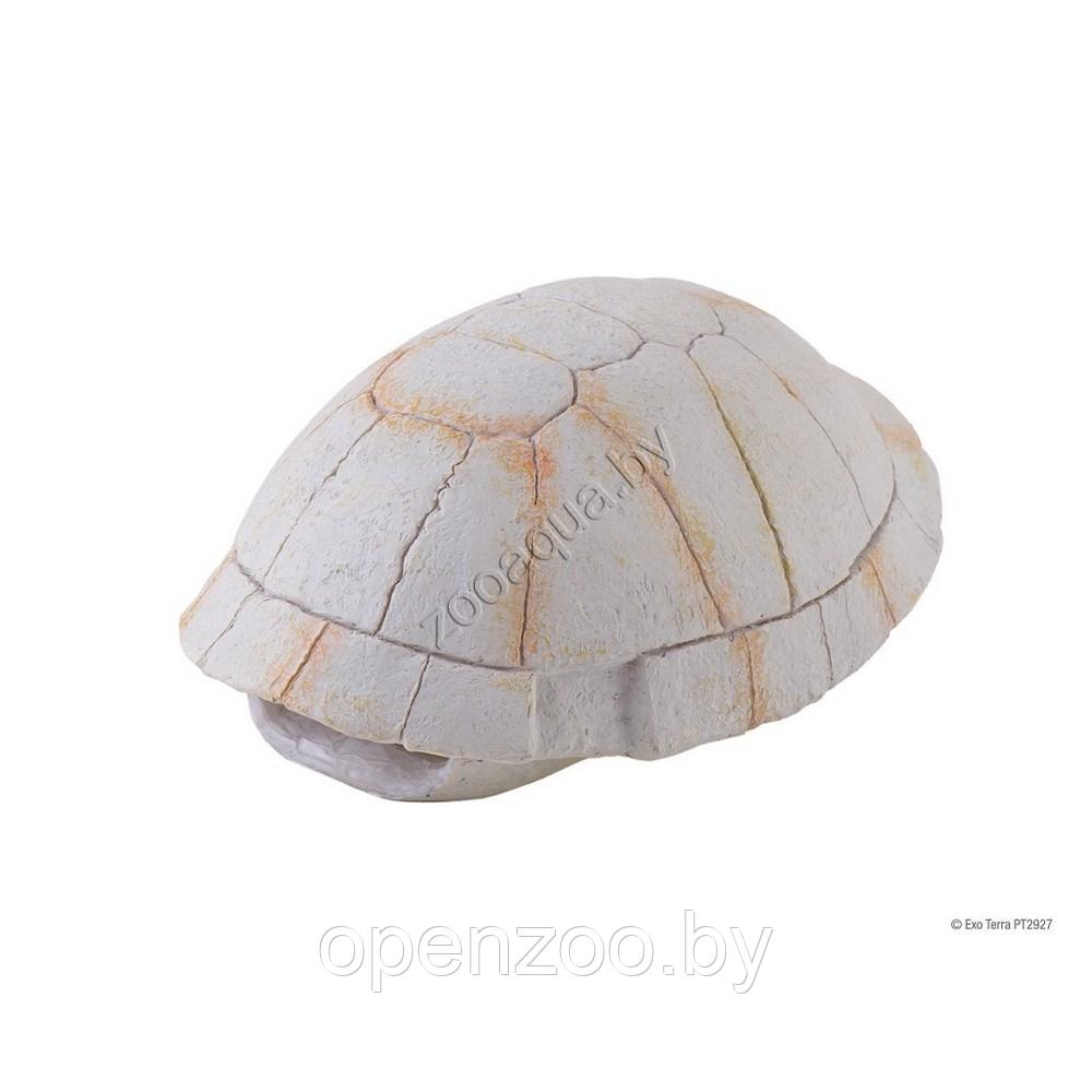 Убежище-декор EXO TERRA Панцирь черепахи для террариума - фото 1 - id-p114219826