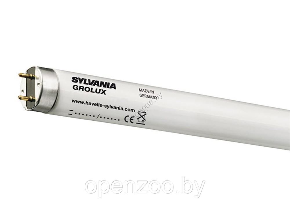 SL-0000732 Лампа SYLVANIA Reptistar 5.0 18 Вт, 59 см