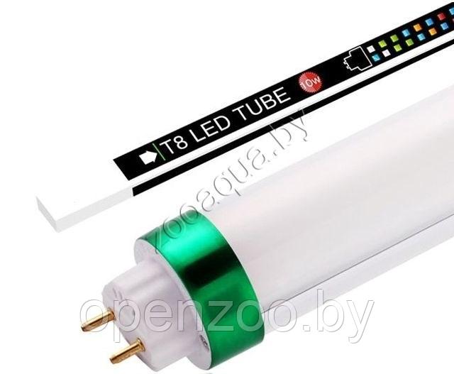 KW Zone Светодиодная лампа Т8 LED - RGB, 8 w, 10000 К, 60 cм, (KW)
