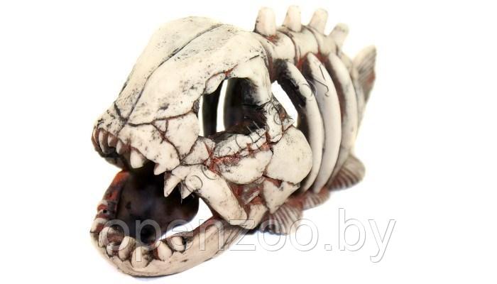 Deksi Скелет рыбы №901 - фото 4 - id-p103967203