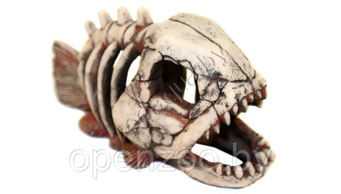 Deksi Скелет рыбы №901 - фото 5 - id-p103967203