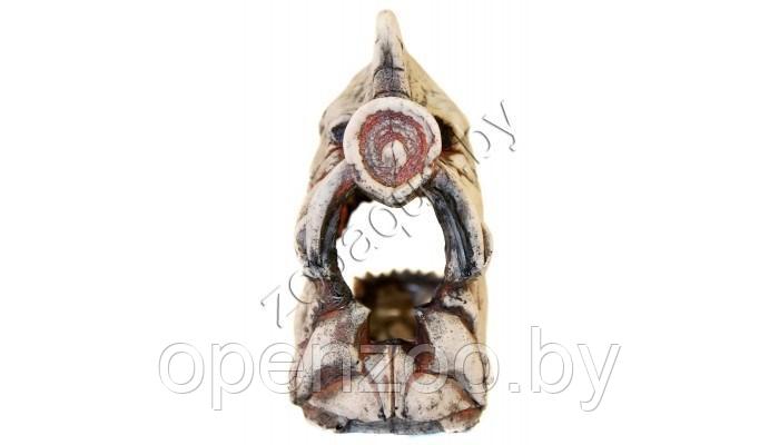 Deksi Скелет рыбы №902 - фото 3 - id-p103967204
