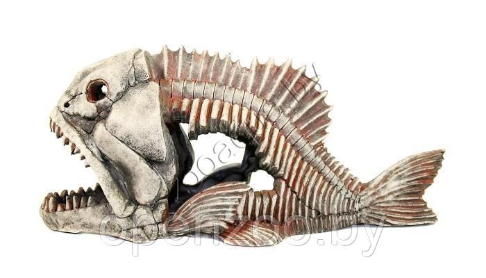 Deksi Скелет рыбы №904 - фото 4 - id-p103967206