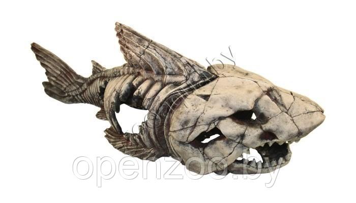 Deksi Скелет рыбы №999 - фото 2 - id-p103967208