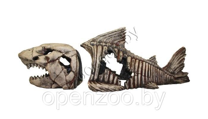 Deksi Скелет рыбы №999 - фото 5 - id-p103967208