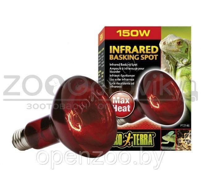 Hagen EXO-TERRA Лампа инфракрасная Infrared Basking Spot 150 Вт - фото 3 - id-p148739436