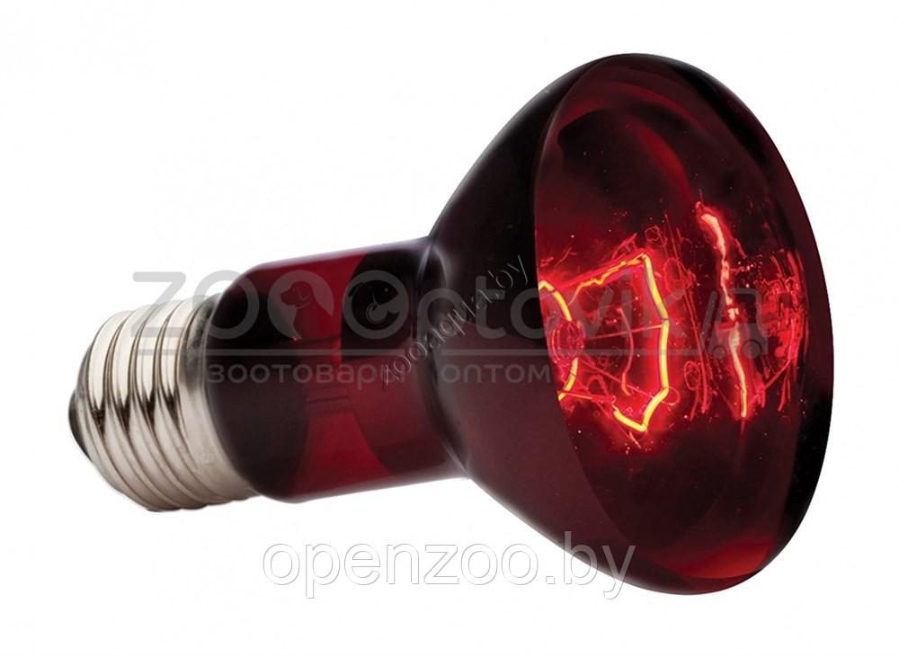Hagen EXO-TERRA Лампа инфракрасная Infrared Basking Spot 150 Вт - фото 6 - id-p148739436
