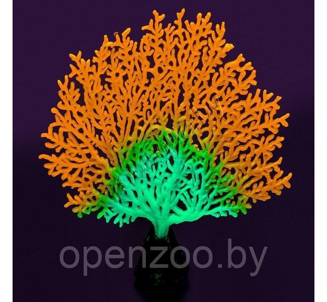Флуоресцентная аквариумная декорация GLOXY Коралл веерный оранжевый, 13,5х3х16см - фото 2 - id-p129576053