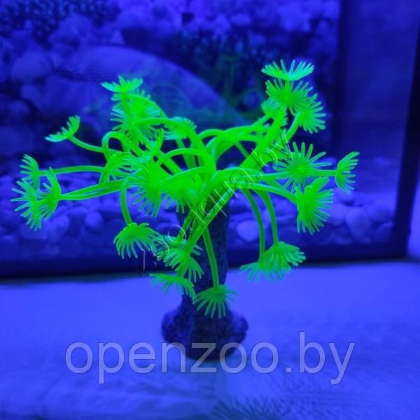 Коралл силиконовый зеленый 3.5х3.5х14см (SH139G) - фото 1 - id-p129576071
