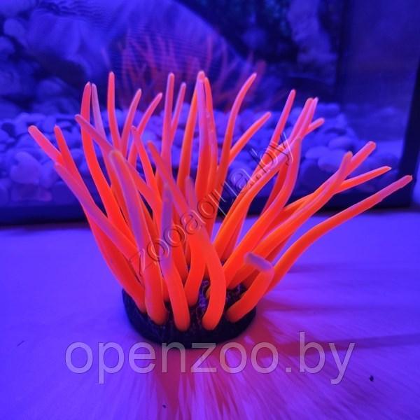 Коралл силиконовый красный 5.5х5.5х10см (SH499R) - фото 1 - id-p129576077