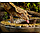 EXO-TERRA Кормушка-поилка Aztek 120 мл. 13 см x 2,3,8 см, фото 3