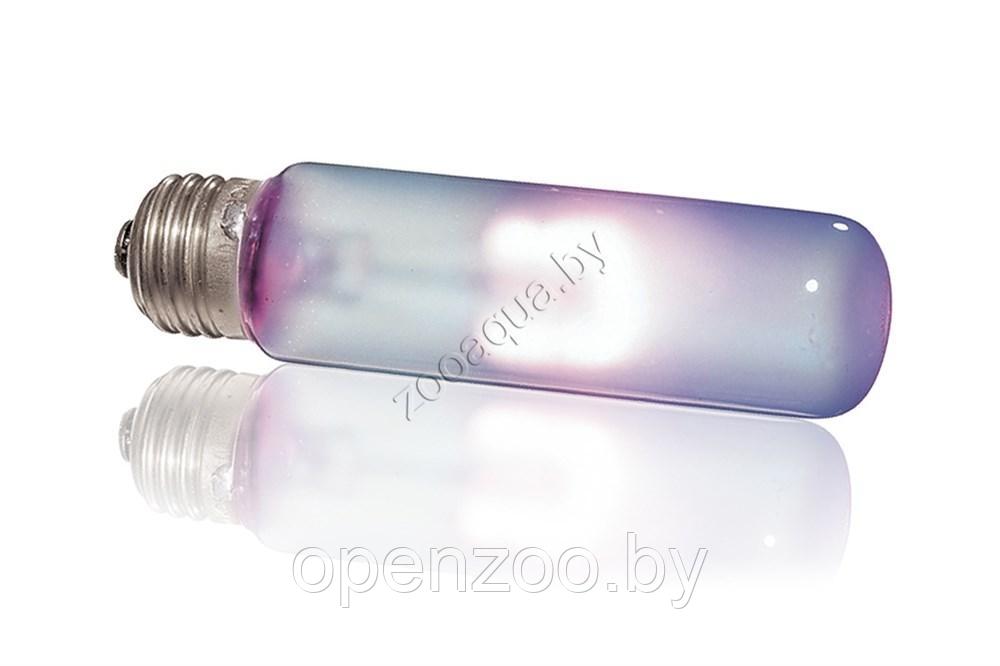 EXO-TERRA Лампа DAYTIME HEAT 25Вт - фото 3 - id-p139489257
