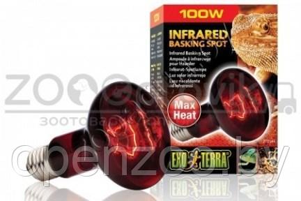 EXO-TERRA Лампа инфракрасная Infrared Basking Spot 100 Вт - фото 1 - id-p148739437