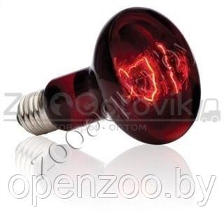 EXO-TERRA Лампа инфракрасная Infrared Basking Spot 100 Вт - фото 5 - id-p148739437