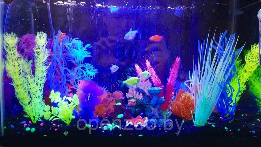 GLOFISH Растение пластиковое GLOFISH флуоресцентное розовое 20,32см - фото 3 - id-p139489274