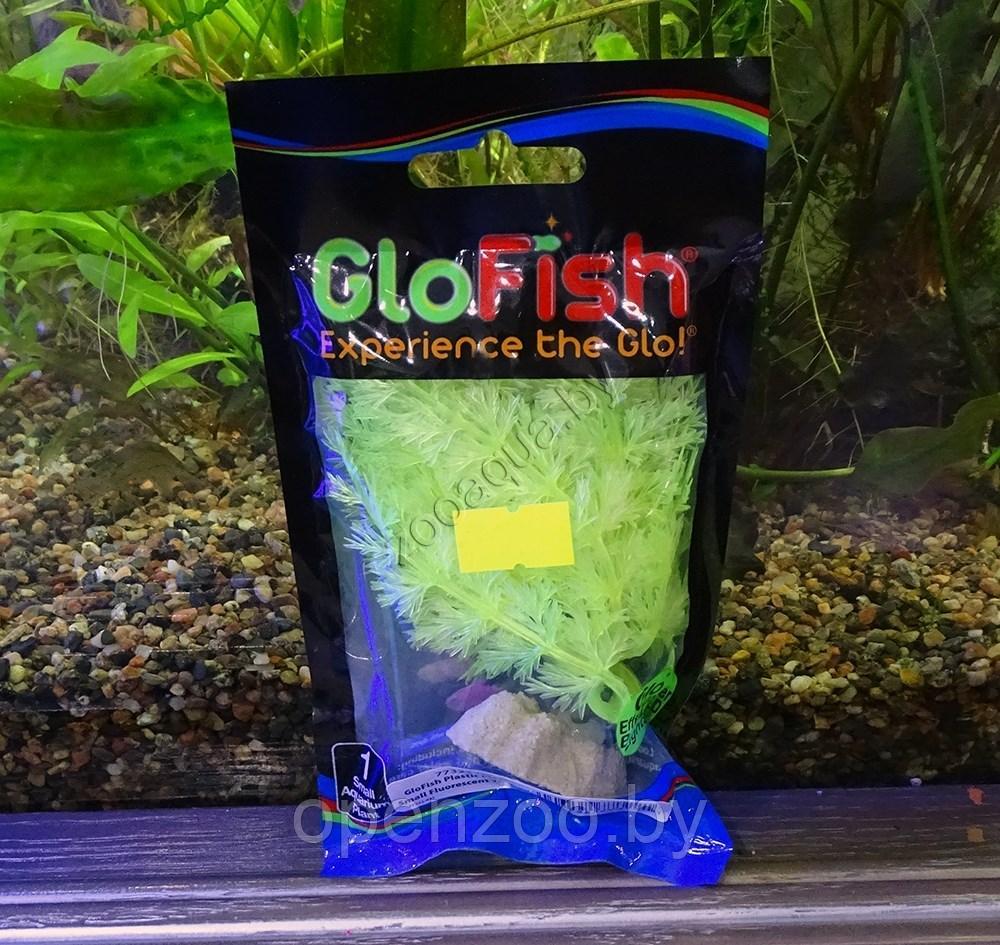 GLOFISH Растение пластиковое GLOFISH флуоресцентное желтое 15,24 см. - фото 2 - id-p139489283