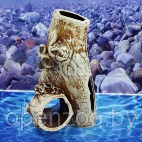 Аква Бревнышко