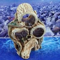 Аква Дерево