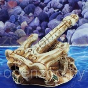 Аква якорь на ракушке