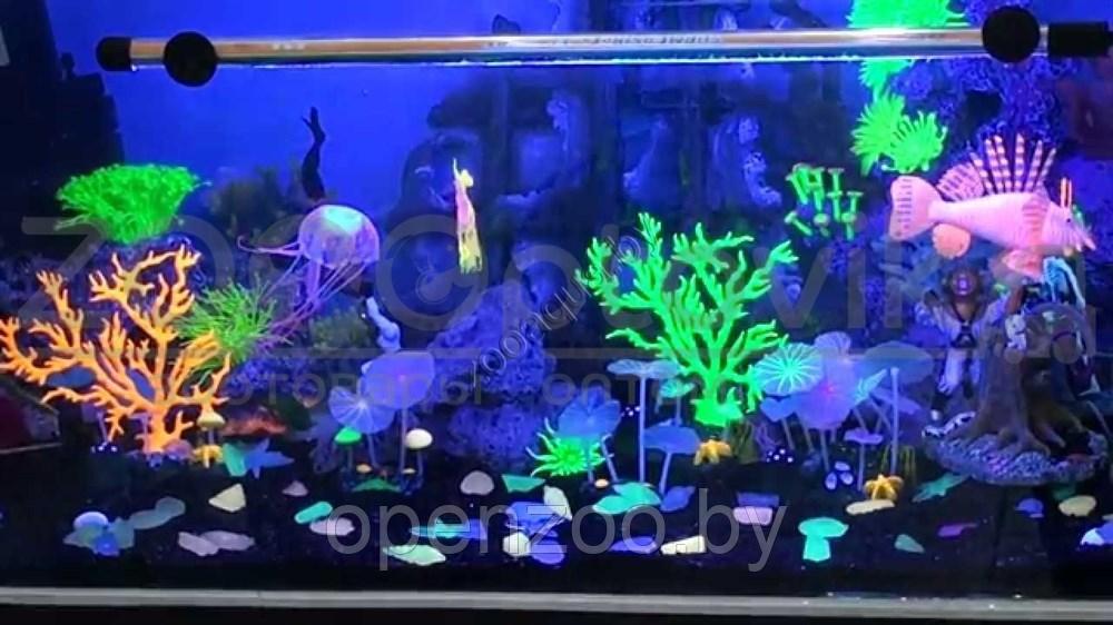Meijing Aquarium AM0015G Светящийся коралл, зеленый 16,516,5см. - фото 2 - id-p145038680