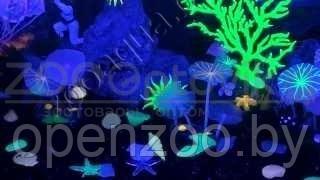 Meijing Aquarium AM0015G Светящийся коралл, зеленый 16,516,5см. - фото 3 - id-p145038680