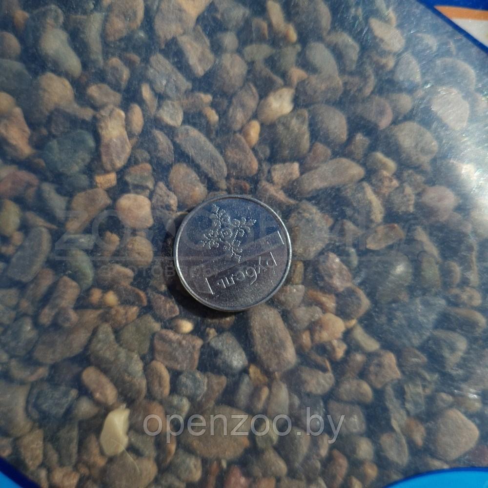 AquaGold Галька Каспий 5-10 мм. ПРЕМИУМ (упаковка 3,5 кг) - фото 3 - id-p153525598