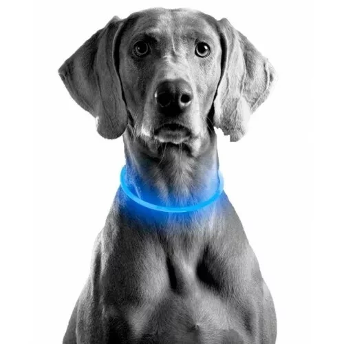 Светодиодный ошейник для собак - фото 2 - id-p169355889