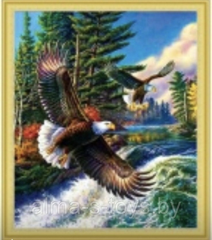 Алмазная мозаика орлы 50*40