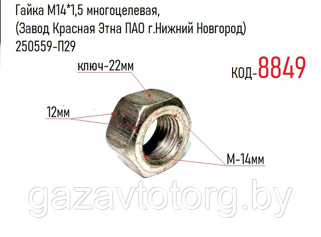 Гайка М14*1,5 многоцелевая, (Завод Красная Этна ПАО г.Нижний Новгород)  250559-П29, фото 2