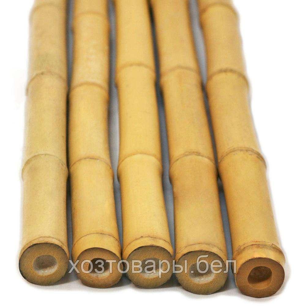 Опора бамбуковая 60см 8-10мм - фото 1 - id-p152651743