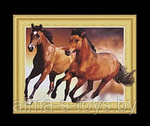 Алмазная мозаика 30*40 5Д пара лошадей