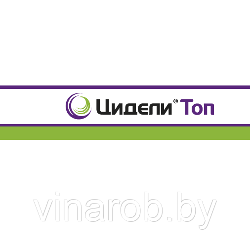 Фунгицид Цидели Топ (100 мл)