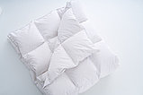 Одеяло пуховое демисезонное (80% пух/20% перо) двуспальное 172х205, фото 3