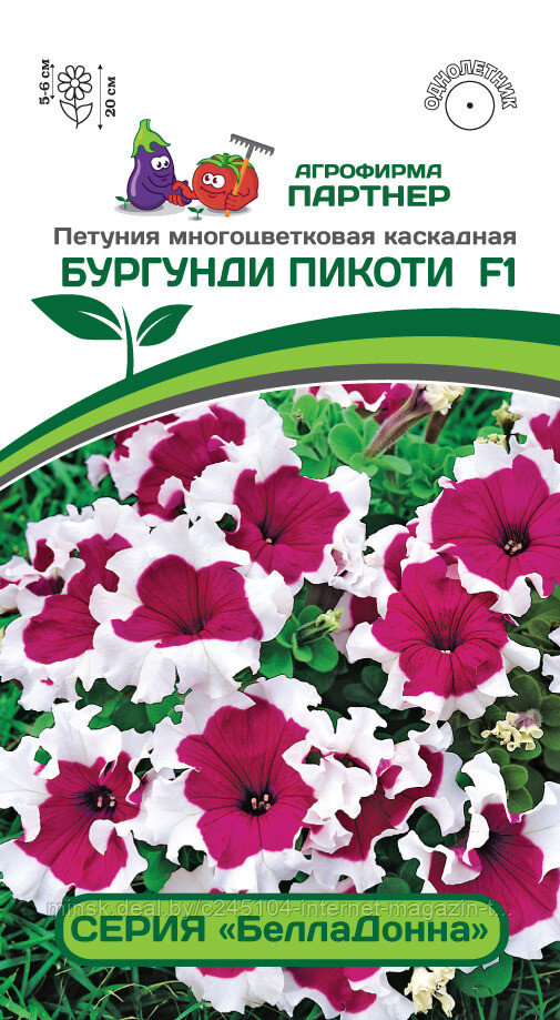 Петуния серия "БеллаДонна" БУРГУНДИ ПИКОТИ F1 (5 шт в амп) - фото 1 - id-p169555894