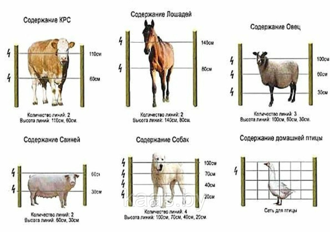 Электроизгородь (электропастух) для коров и овец ИЭ-4 - фото 4 - id-p168937057