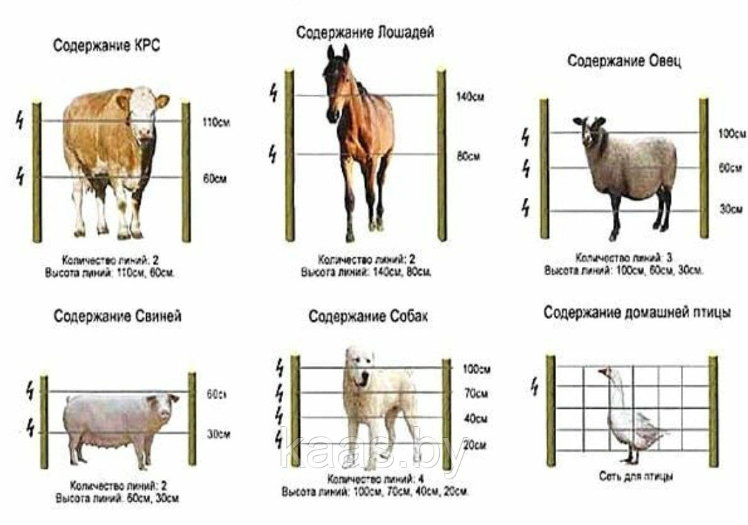 Электропастух для коров ИЭ 3-1 - фото 4 - id-p169561671