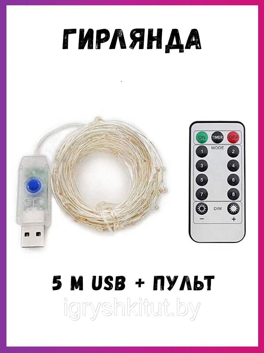 Светодиодная гирлянда 5м от USB с пультом. Цвет ламп - белый - фото 2 - id-p169566072