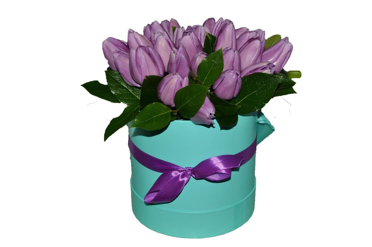 Сортовые голландские тюльпаны - фото 4 - id-p72196363