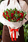 Тюльпаны бахромчатые, фото 9