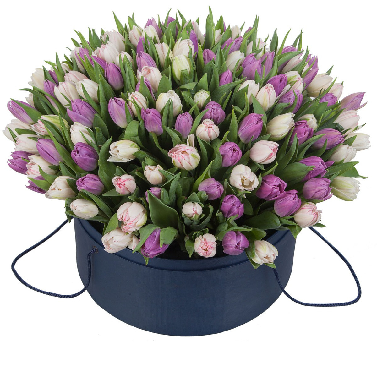 Нежно-розовые тюльпаны