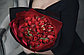 Красные тюльпаны, фото 6