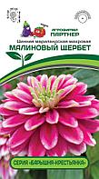 Цинния МАЛИНОВЫЙ ЩЕРБЕТ (5 шт) 2-ной пакет